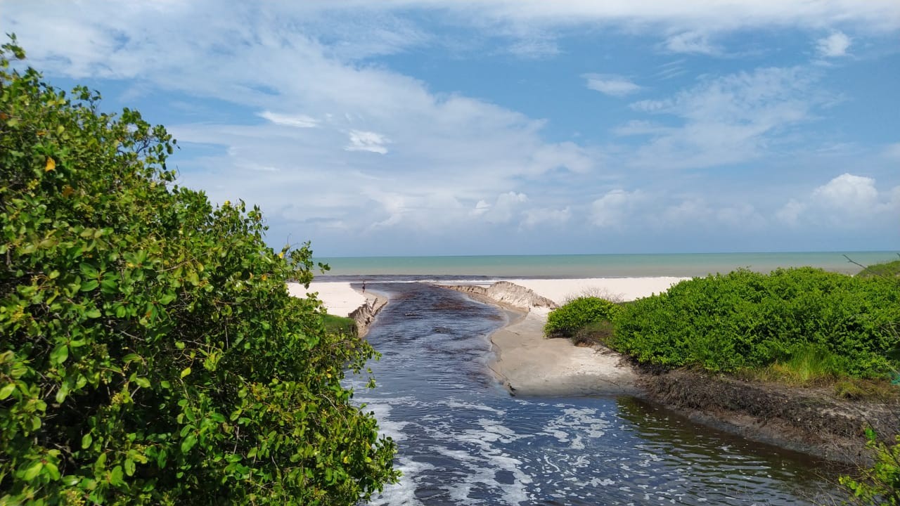 Mancha escura invade mar na Grande João Pessoa