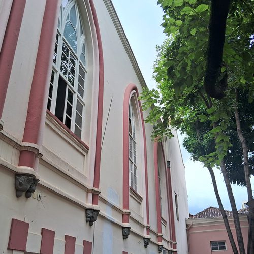 Ícaro e Mutley, as aves de rapina que protegem a Santa Casa de BH de pombos