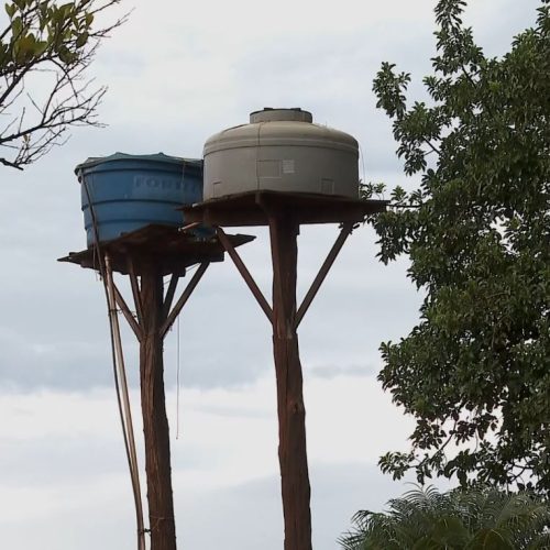 Produtores rurais em São Joaquim da Barra, SP, reclamam de quedas de energia elétrica que duram dias