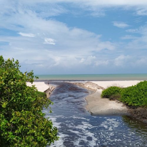 Mancha escura invade mar na Grande João Pessoa