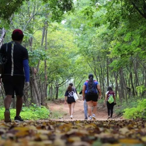 Geopark Araripe atrai visitantes e preserva capítulos importantes da evolução natural da Terra