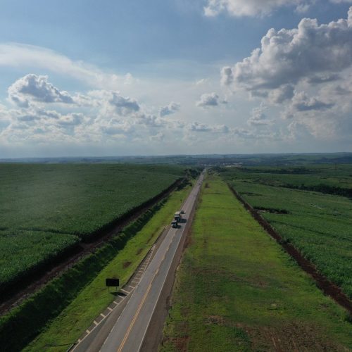 Cinto de segurança é item ignorado por até 80% dos passageiros em rodovias da região; veja lesões que podem ser evitadas pelo uso