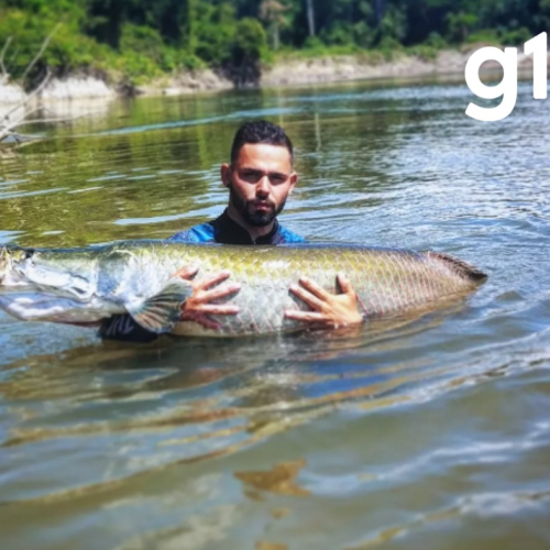 Pescador esportivo morre após bater moto em caminhonete na BR-163 em MT