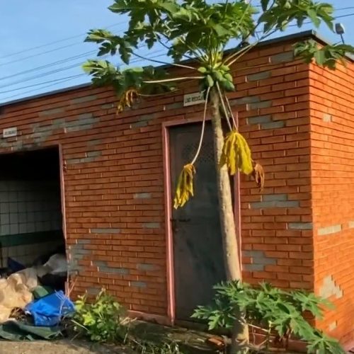 Desativado há mais de 1 ano, campus da Unimep em Piracicaba acumula lixo, mato alto e abandono preocupa moradores