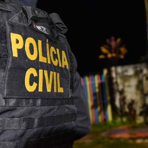 Donos de perfis em redes sociais suspeitos de publicarem notícias falsas são presos em operação da Polícia Civil