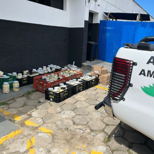 Polícia Militar Ambiental apreende quase 800 kg de palmito irregular no Litoral Norte de SP